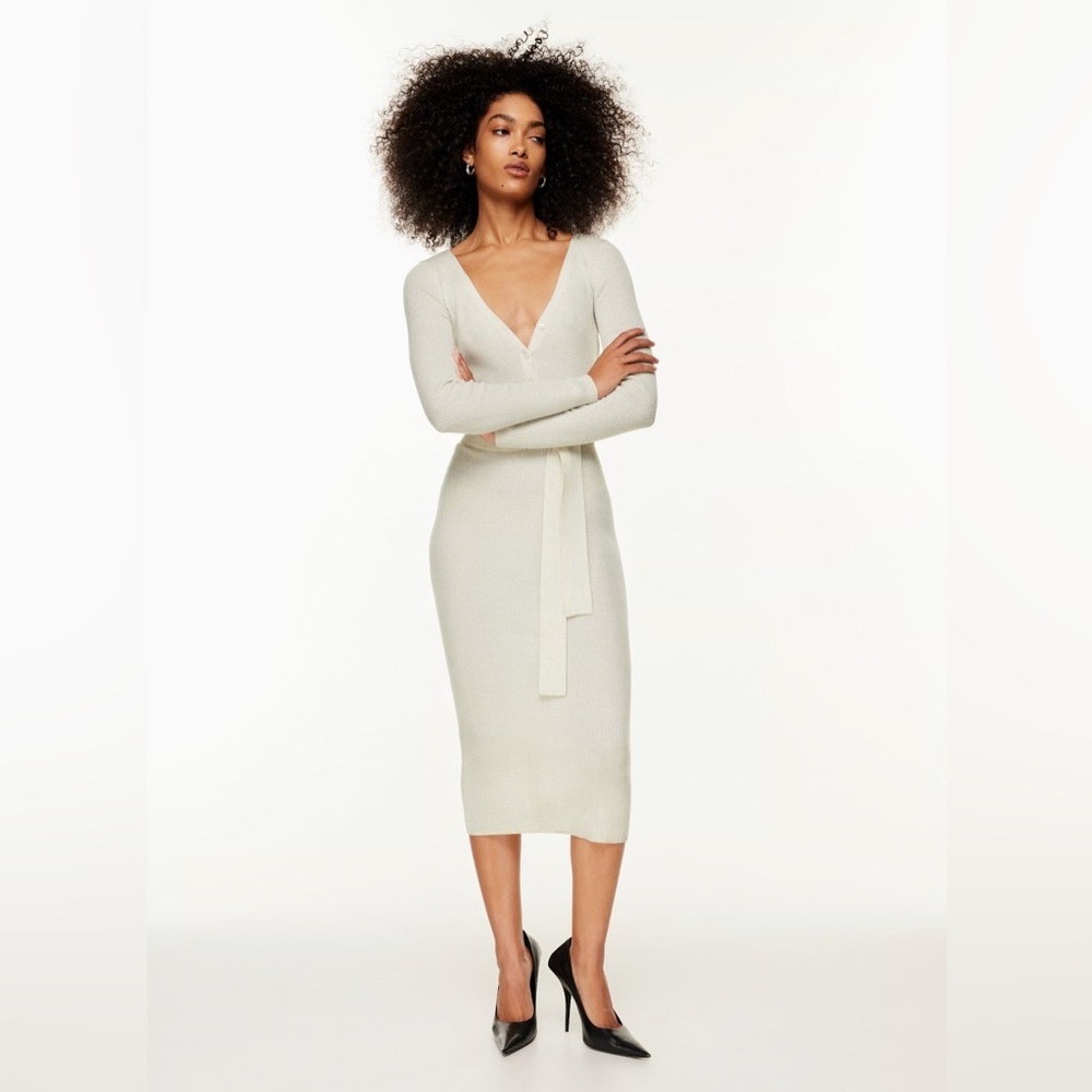 Aritzia The Group Henley Sweater Dress